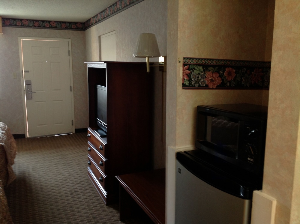 Colonial Inn & Suites Airport Graceland - photo 24
