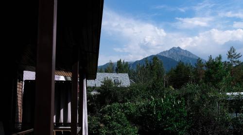 Svezhest Свежесть — Almaty — photo 5