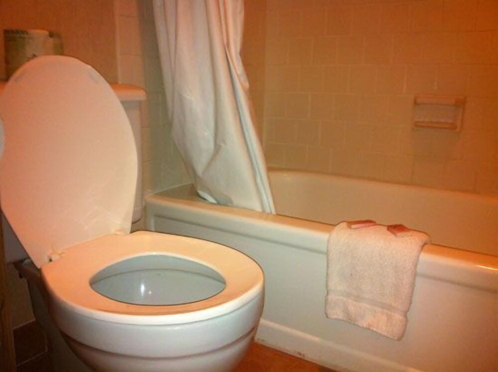 Loyalty Inn Pasco - photo 18