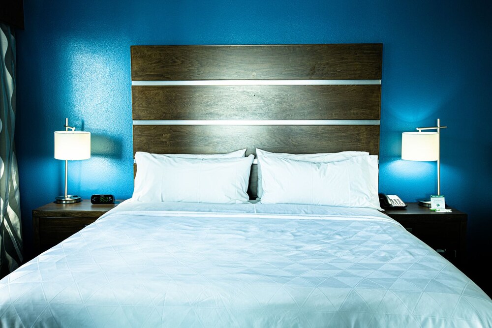 Holiday Inn Houston Downtown by IHG - photo 17