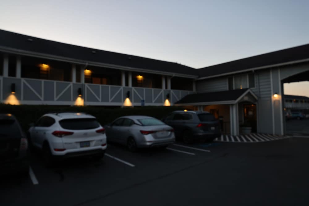 Global Inn - photo 13