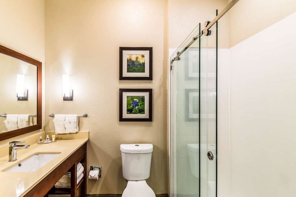 Comfort Suites Grand Prairie Arlington North - photo 29