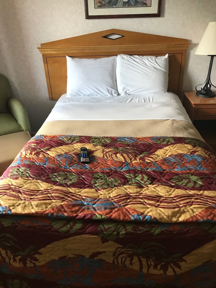 Budget Inn Timmonsville - photo 10