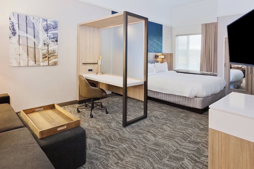 SpringHill Suites by Marriott Montgomery Prattville Millbrook - photo 14