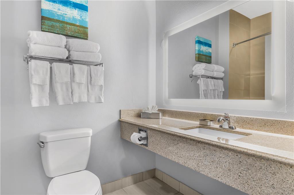 Best Western Plus Fort Worth Forest Hill Inn & Suites - photo 17