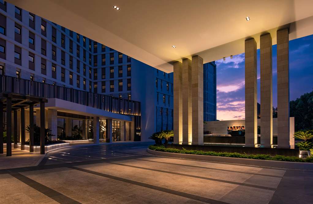 מראה חיצוני