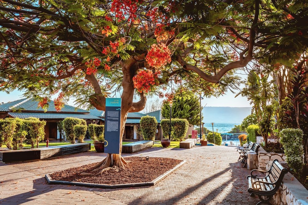 Daria Authentic Israel Experience — 4-Star Luxury Hotel in Tiberias, Israel