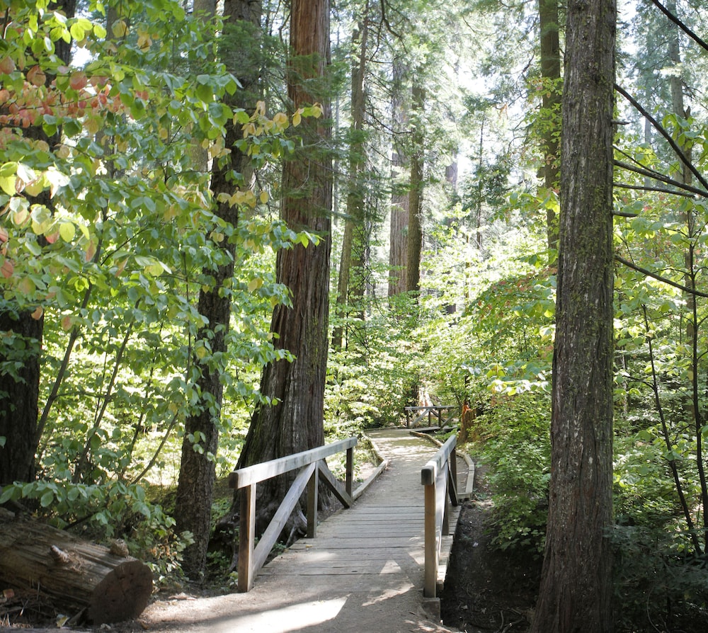 Mountain Retreat Resort - photo 44