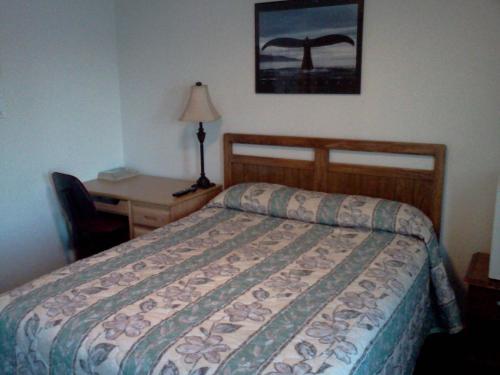 Borealis Inn - photo 15