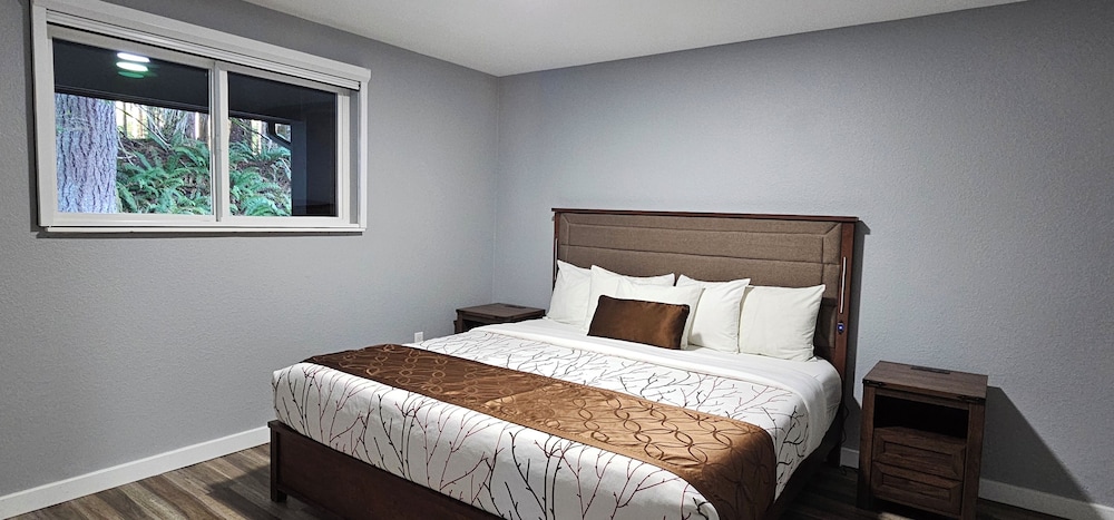 Olympic Suites Inn - photo 8