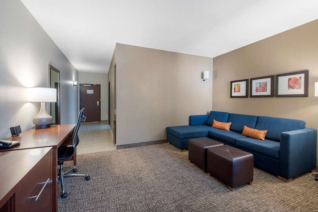 Comfort Suites Denver International Airport - photo 19