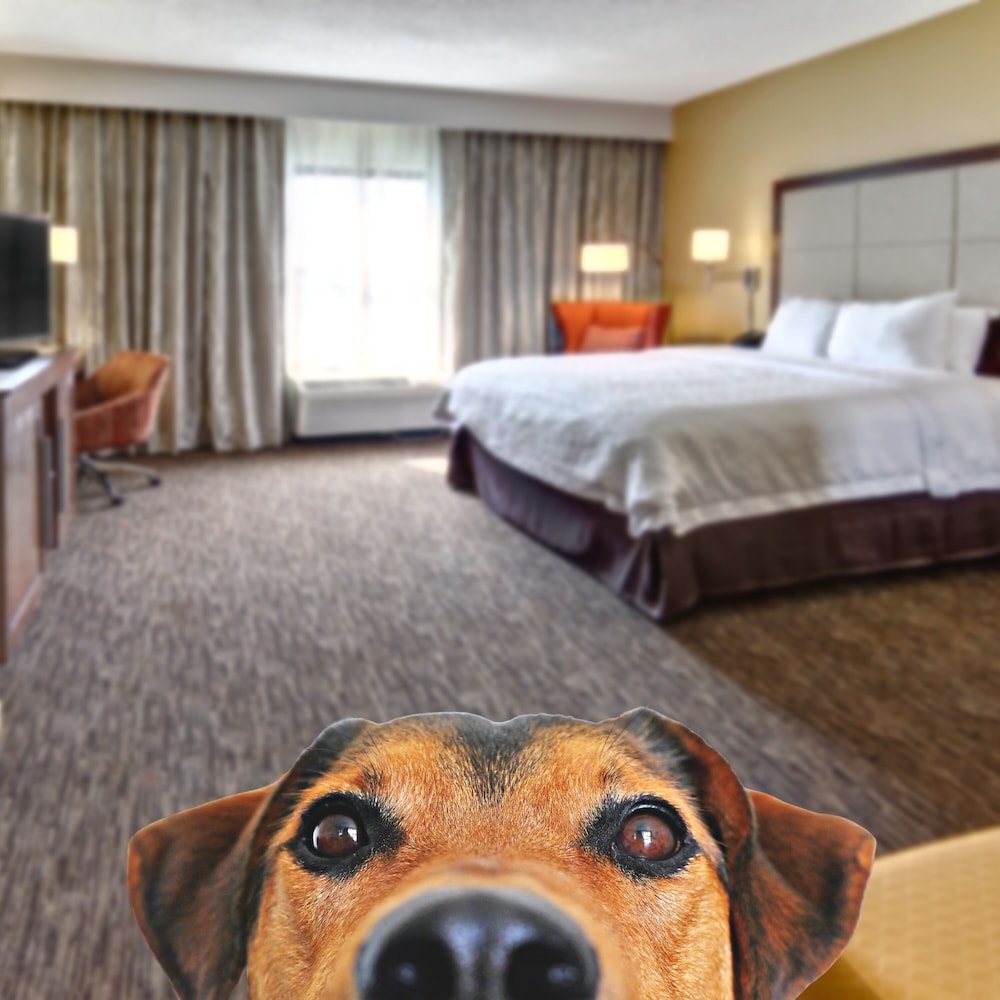 Hampton Inn by Hilton Concord Kannapolis - photo 26
