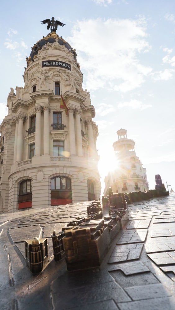 מראה חיצוני