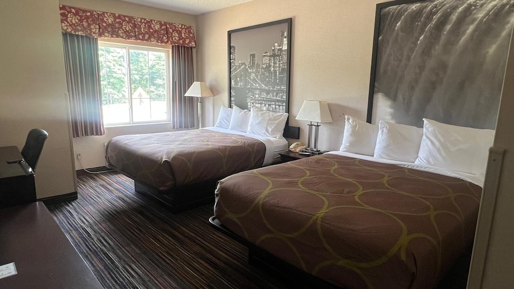 Super 8 By Wyndham Albany - photo 22
