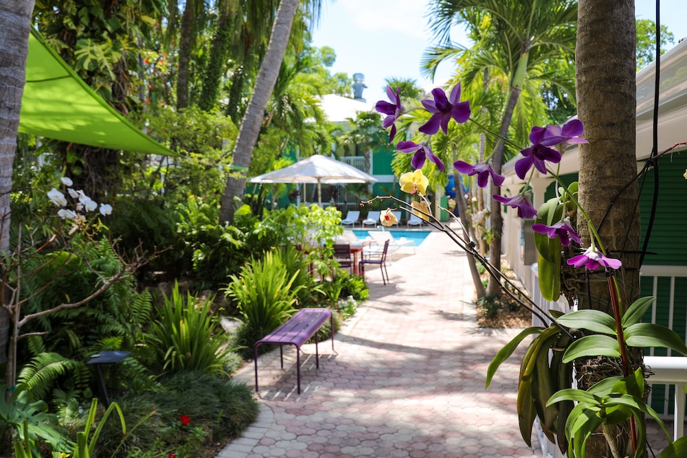 Almond Tree Inn Hotel Adults Only - photo 84