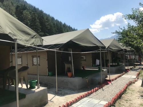 North Deodar Camps — Kulu — photo 5