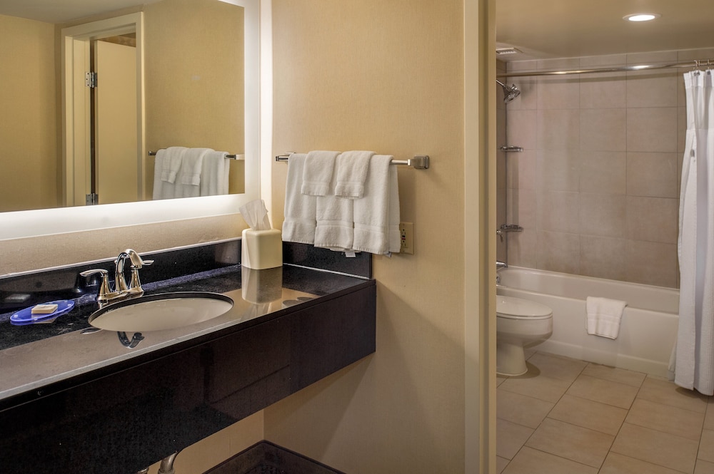 Crowne Plaza St. Louis Airport by IHG - photo 68