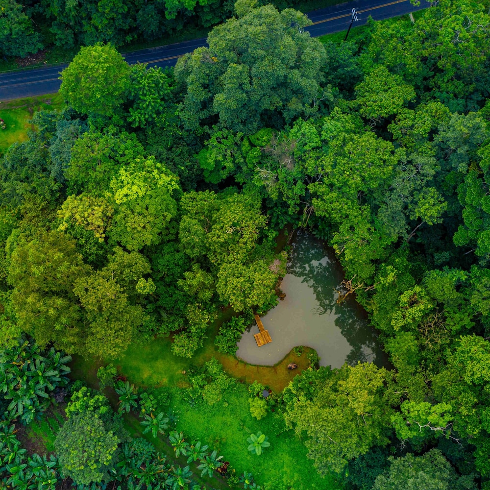 Santuario de Ranas Explora nuestro paraíso natural in La Fortuna, Costa Rica