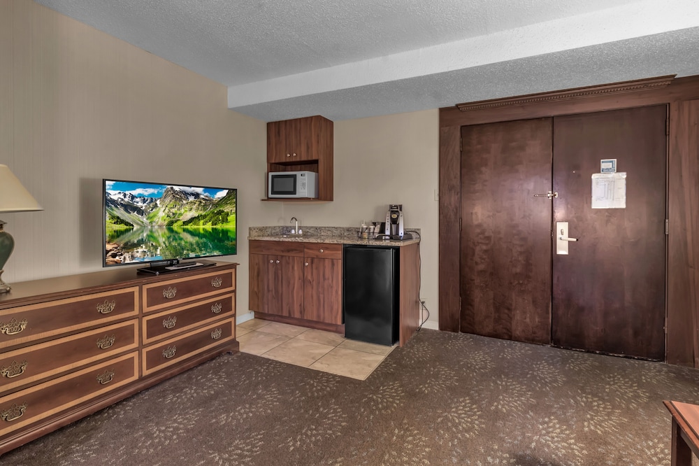 Buffalo Airport Hotel - photo 44