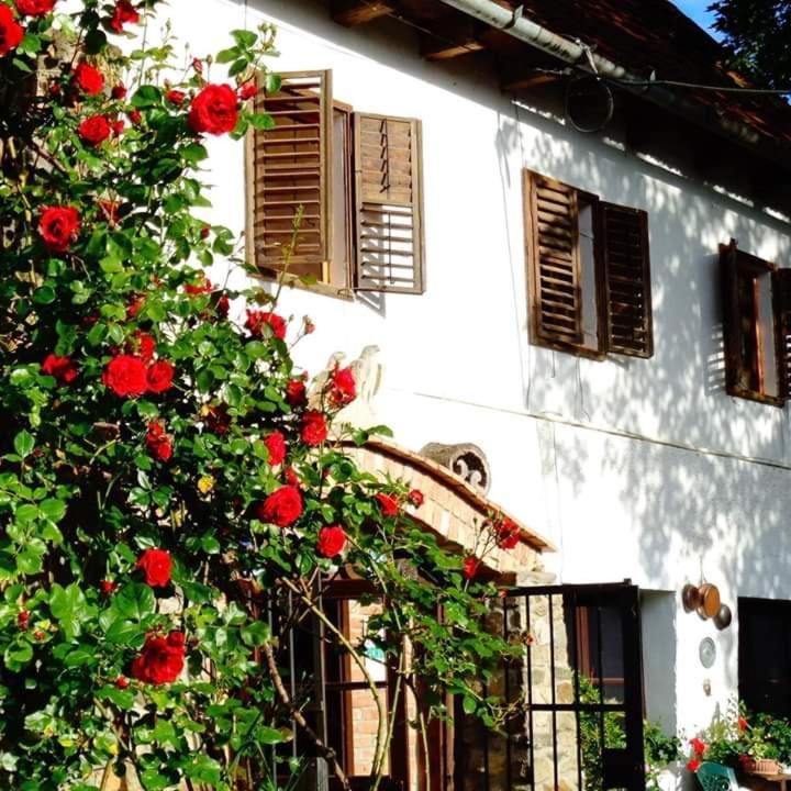 La Amadeus & Monica - last minute hotel in Unknown City