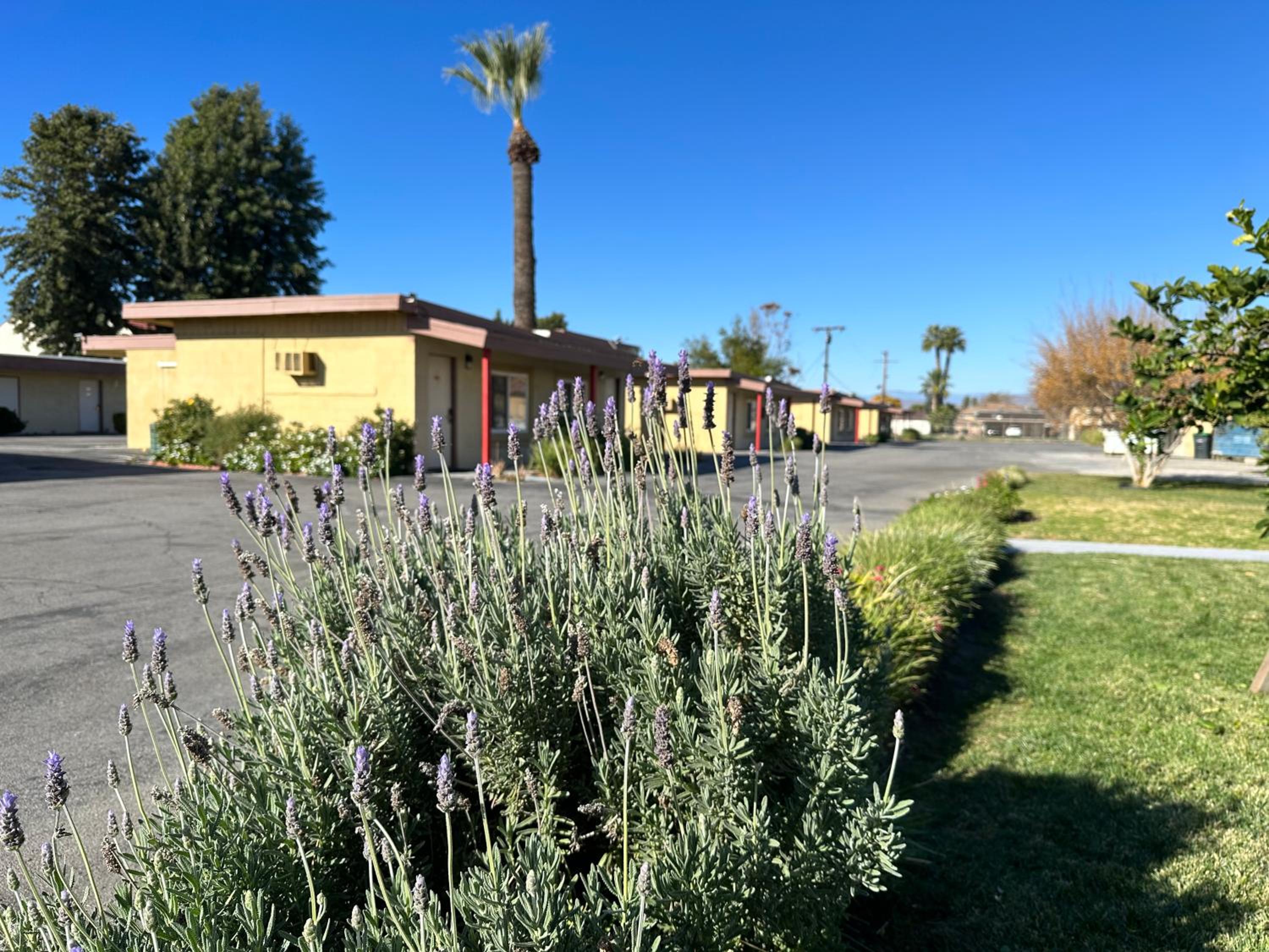 Royal Inn and Suites - photo 28