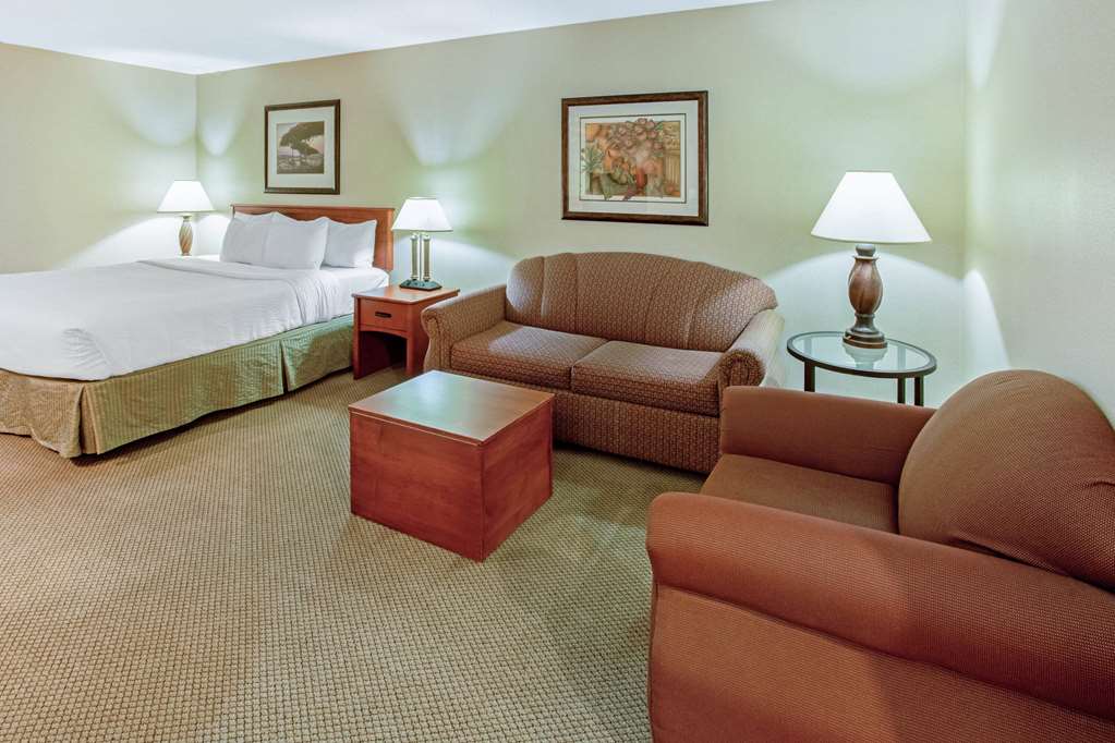 La Quinta Inn & Suites by Wyndham Appleton College Avenue - photo 18