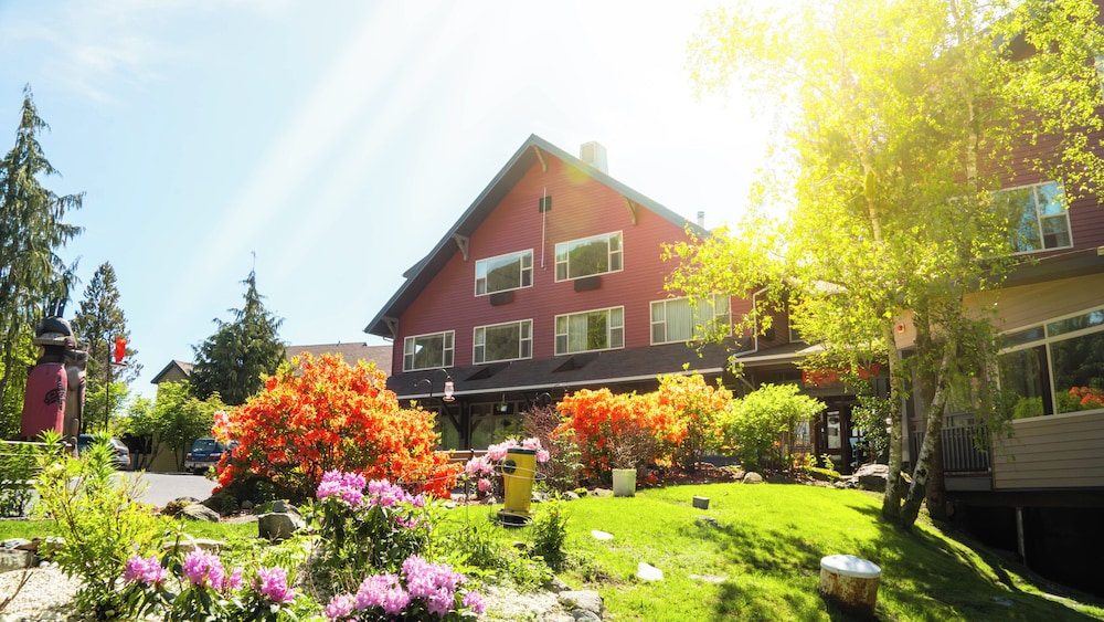 Cape Fox Lodge - featured photo