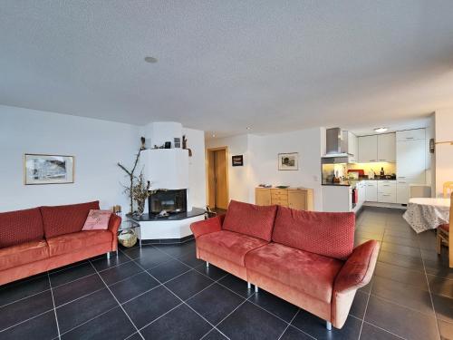 Felskinn in Saas-Fee, Switzerland