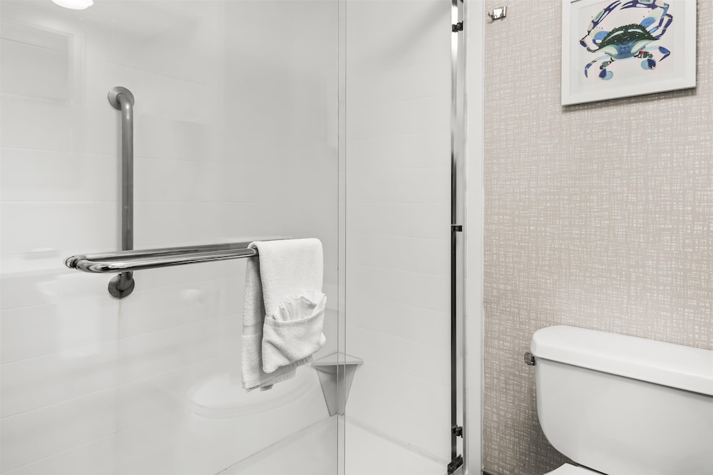 Hampton Inn Elkton - photo 24
