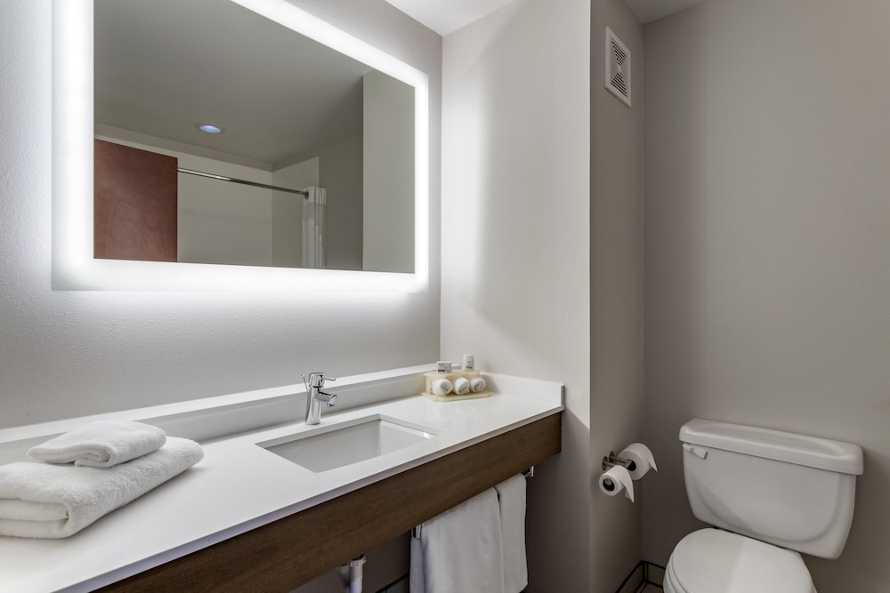 Holiday Inn Express Hotel & Suites Natchitoches by IHG - photo 22