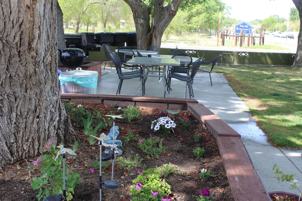 Trees Motel - carbon neutral hotel in Bishop