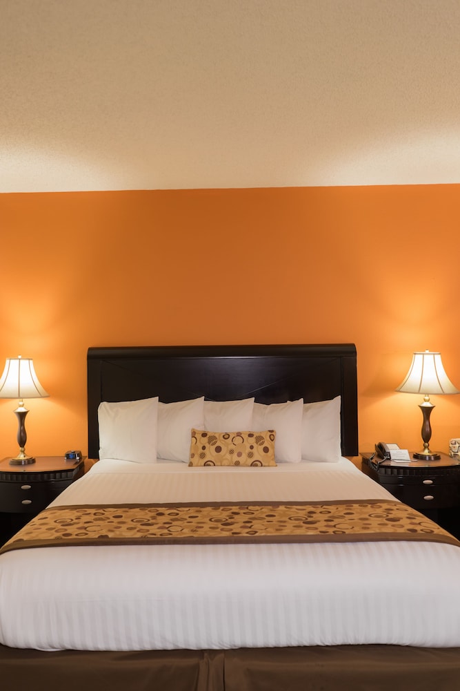 Oakland Airport Executive Hotel - photo 27