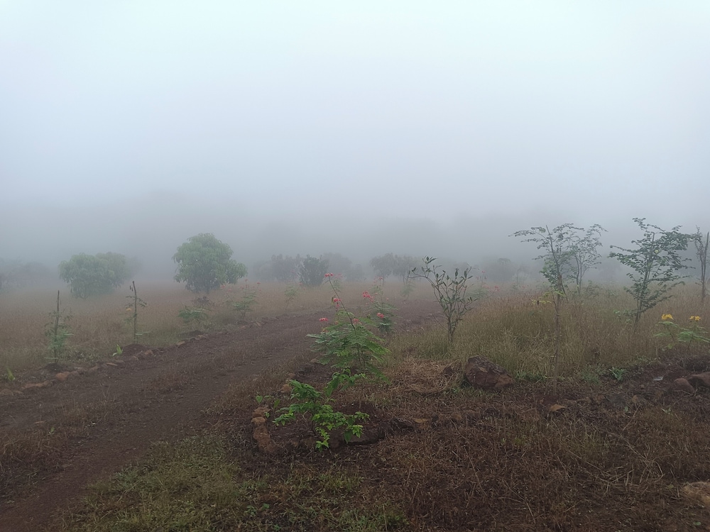 Tadmal Retreat N Resort — Pen — photo 5