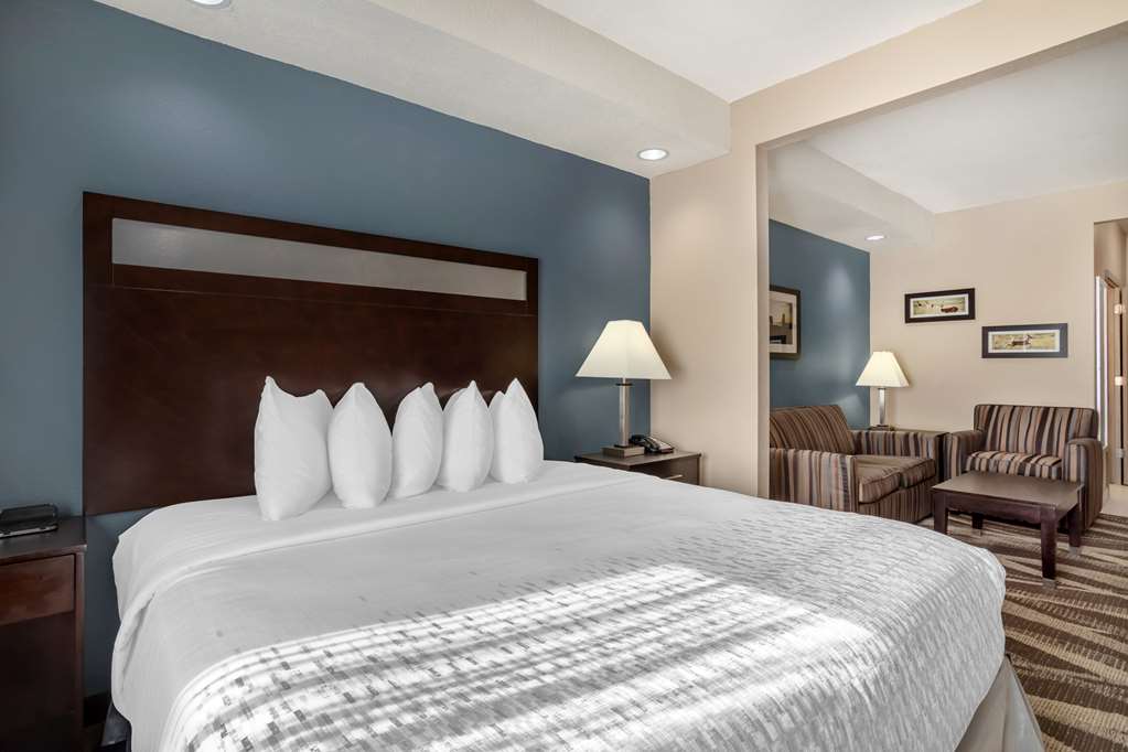Best Western Plus Lake Jackson Inn & Suites - photo 17