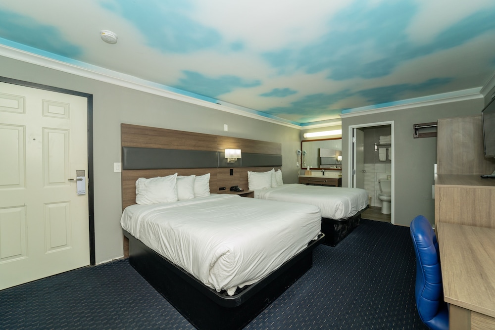 Hollywood Palms Inn and Suites - photo 49