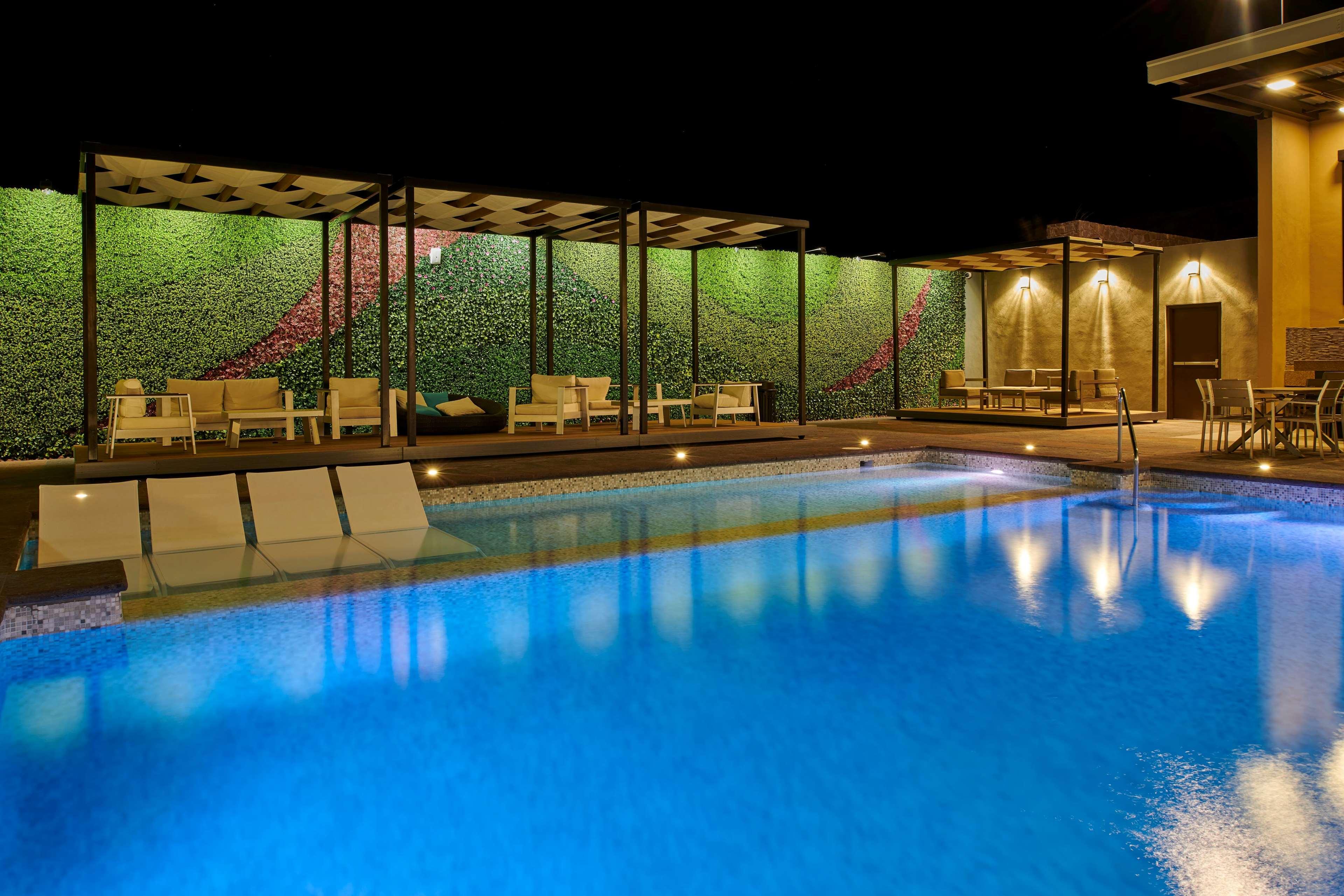 Wingate by Wyndham Chihuahua