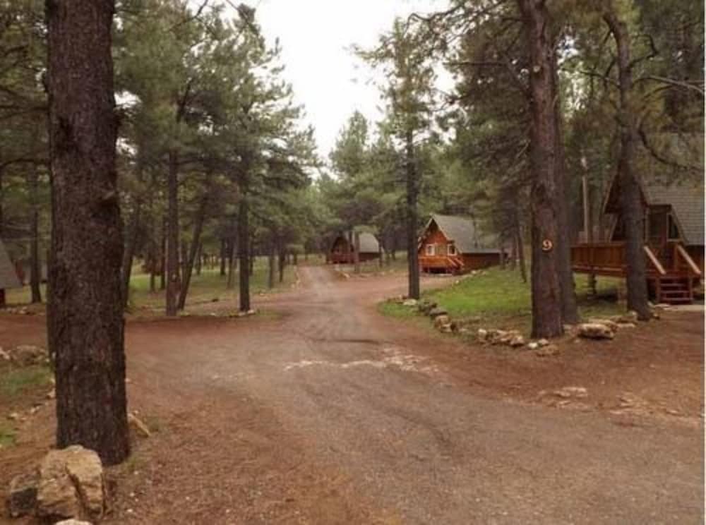 Arizona Mountain Inn and Cabins - photo 333