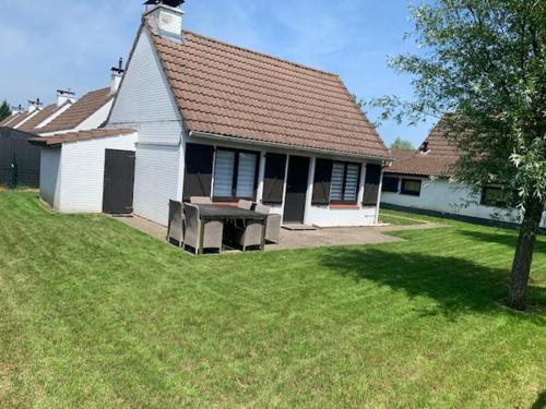 Duinenroos in Koksijde, Belgium