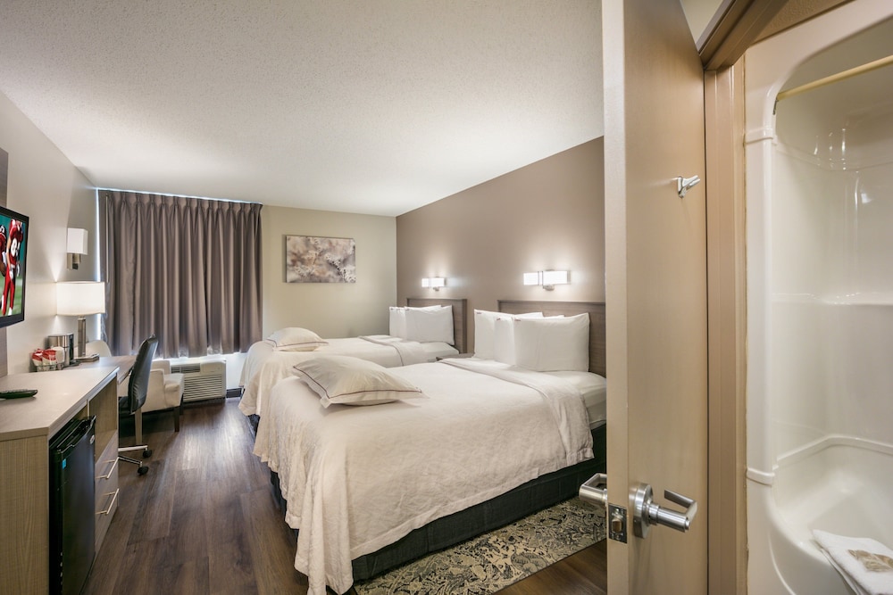 Red Roof Inn PLUS Boston Logan - photo 27