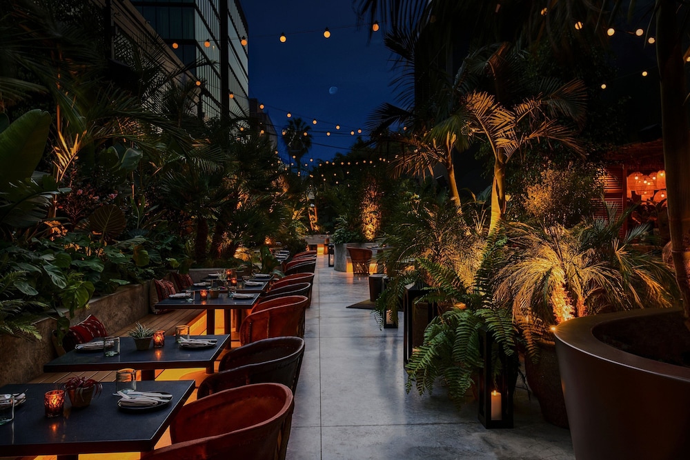 Hollywood Volume A Tribute Portfolio Hotel - photo 33