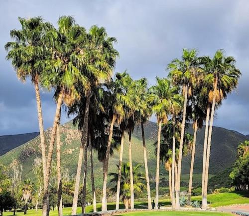 Ensenada Golf Haven - last minute hotel in Unknown City