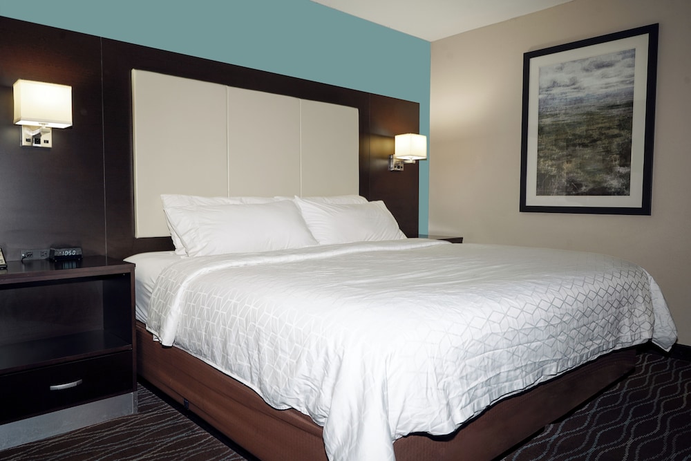 Holiday Inn Express Boise University Area by IHG - photo 29