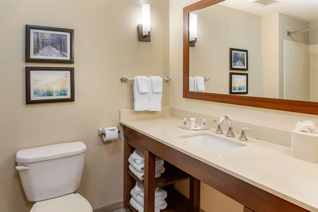 Comfort Suites Lancaster Amish Country - photo 7