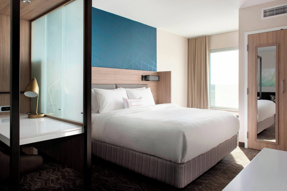 SpringHill Suites by Marriott Tampa Suncoast Parkway - photo 9