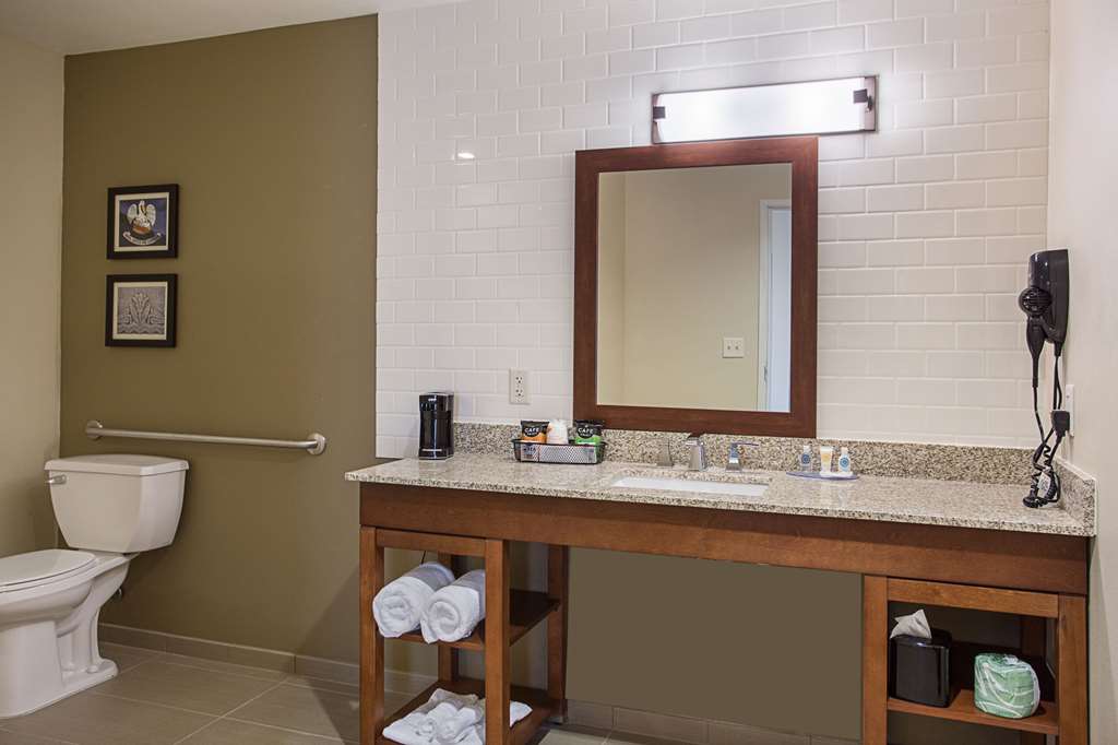 Comfort Inn & Suites Zachary - photo 30