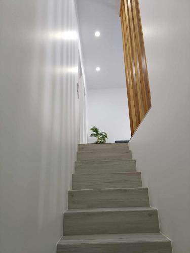 São Miguel Apart. — 4-Star Luxury Hotel in Vila Franca Do Campo, Portugal