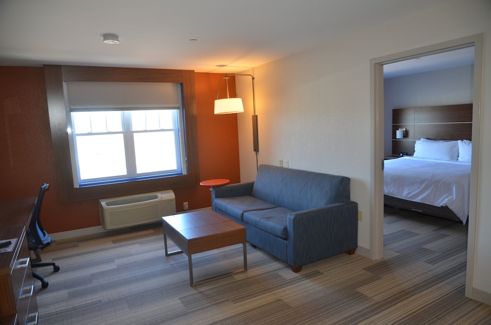 Holiday Inn Express Hotel & Suites Rochester by IHG - photo 3