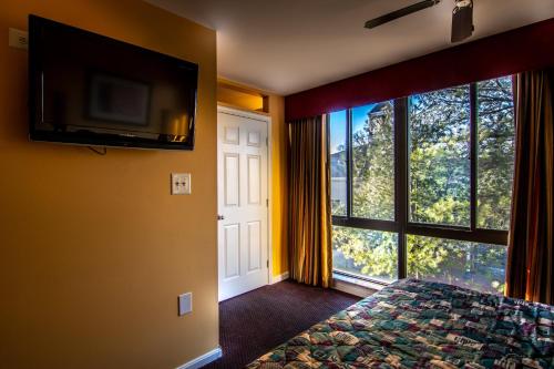Master Suites Hotel - photo 8