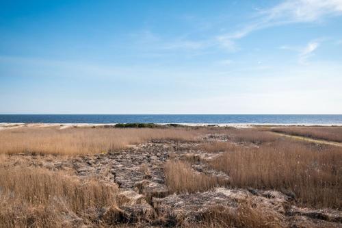 Ocean Wind by Oak Island Accommodations - photo 36