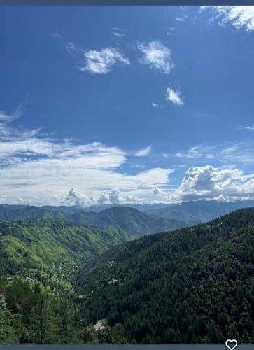 Peace holiday homestay — 5-Star Luxury Hotel in Chail, India